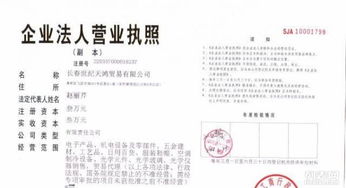 长春世纪天鸿进出口贸易代理公司 专业进出口代理服务引领全球贸易新篇章